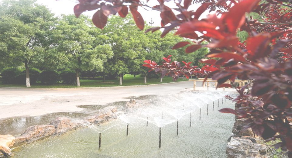 外语教学部