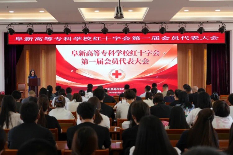 栏目用于追新