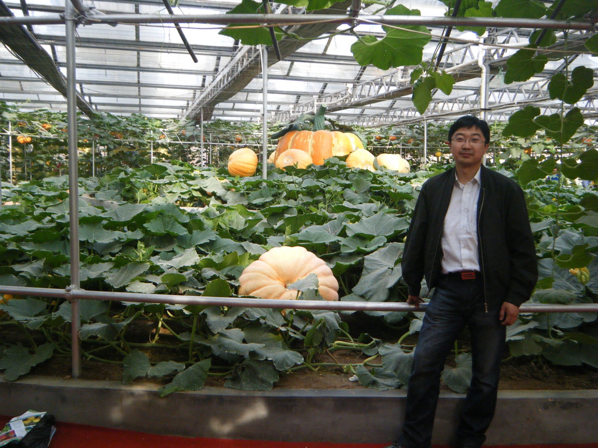 669acg桃子移植采用教程职业院校